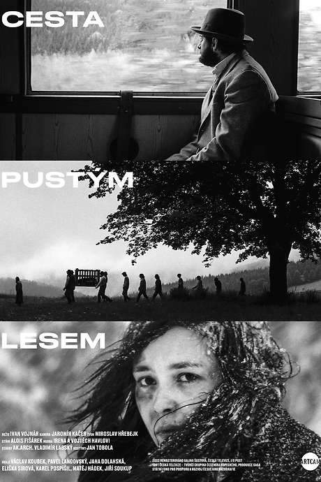 The Way Through the Bleak Woods